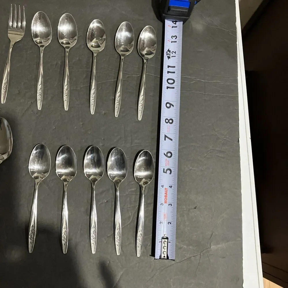 Superior RADIANT ROSE Set Of 22 Flatware USA Stainless Steel Set Vintage MCM